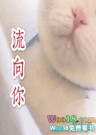 流金岁月