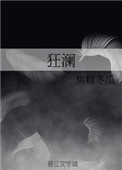 狂澜歌词